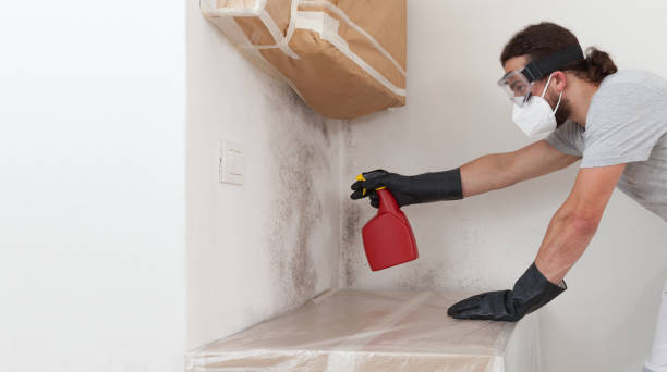 Professional Crawl Space Mold Remediation technician working in Lawrence, MA